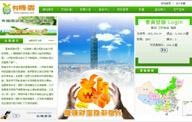 重慶軟件開發新趨勢 直銷行業軟件定制化解決方案探析