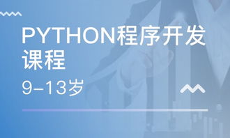 重慶南坪軟件開發培訓指南 課程、選擇與職業發展